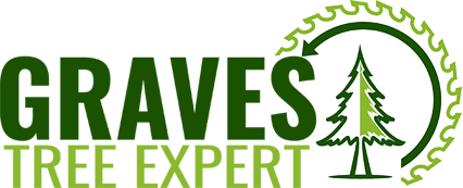 graves tree expert